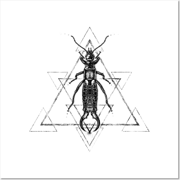 Earwig Schematic Wall Art by Zedekiel